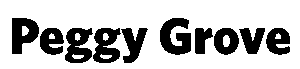 Peggy Grove Conference Sponsor