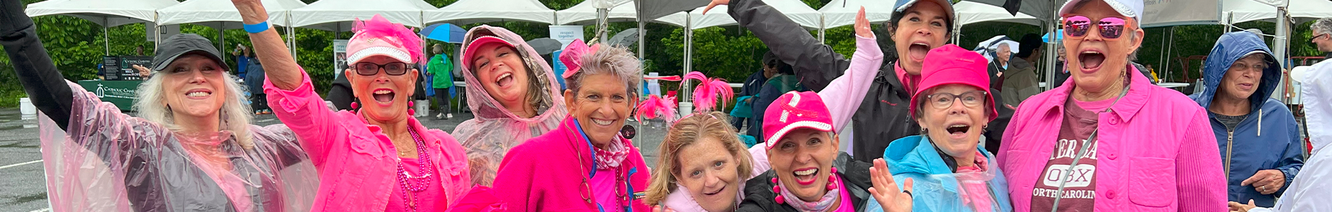 Highmark Walk for a Healthy Community
