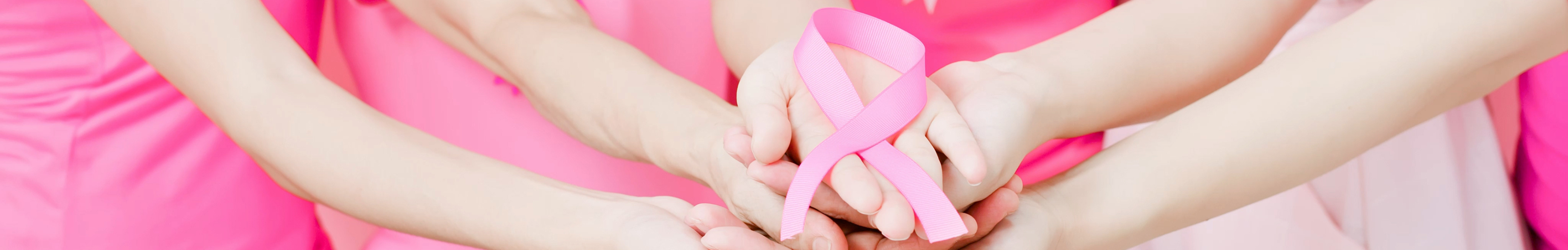 Hunlock Creek PA Breast Cancer Coalition Kickoff